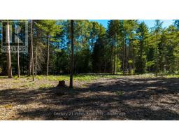 536 Pine Street, Greater Madawaska, ON K0J2R0 Photo 7