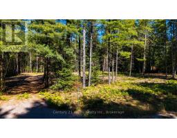 536 Pine Street, Greater Madawaska, ON K0J2R0 Photo 8