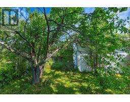 7 Leslie Street, Carbonear, NL A1Y1A6 Photo 16