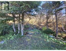21 Lemaire Road thumbnail 41