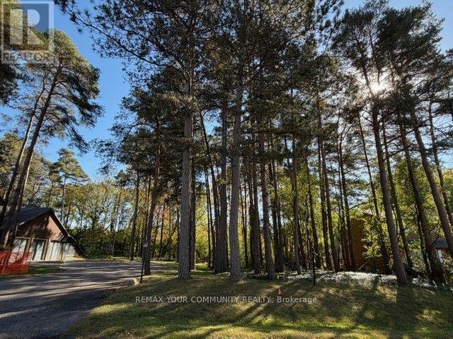 34B Cynthia Crescent, Richmond Hill, ON photo 1
