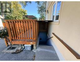 Kitchen - 228 Browning Avenue, Toronto, ON M4K1X2 Photo 6