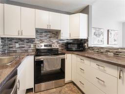 C 204 Goulet Street, Winnipeg, MB R2N0G5 Photo 16