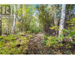 7 Couchiching Crescent, Tiny, ON L9M0C6 Photo 24