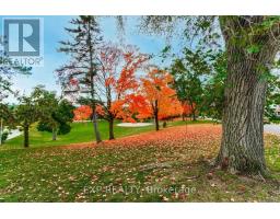 Lower - 5 Brendwin Road, Toronto, ON M6N4V6 Photo 14