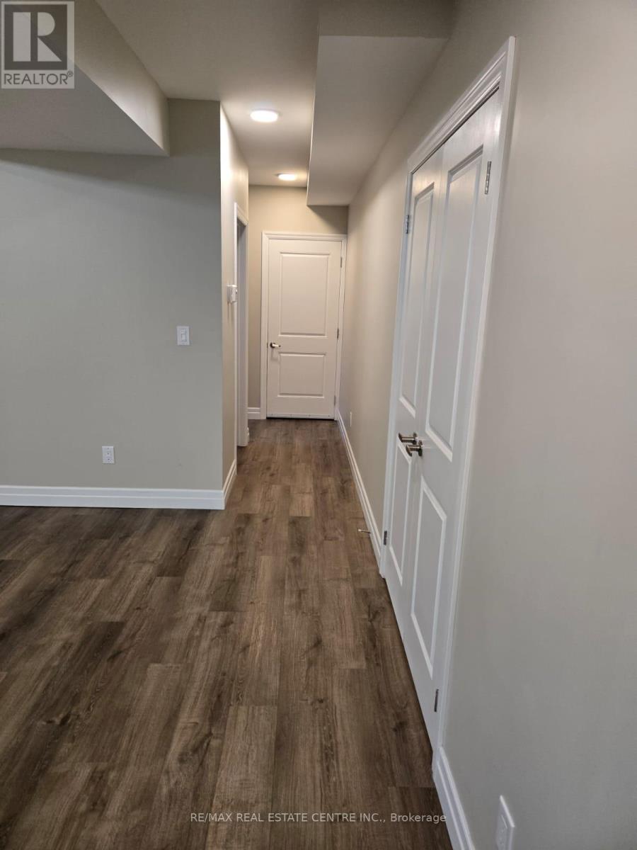 LOWER - 160 BECK STREET — photo 2