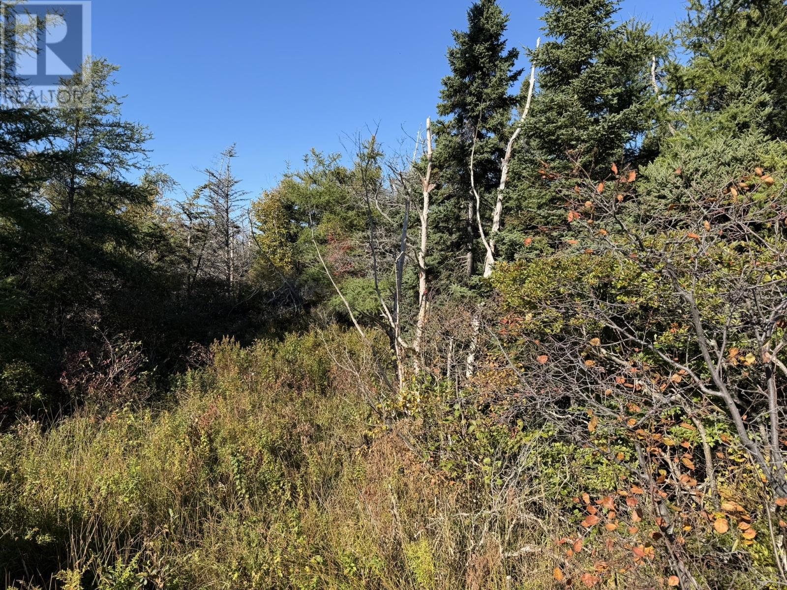 1812-1818 Conception Bay Highway Conception Bay South Newfoundland & Labrador Canada A1X6N1, for Sale, residential, Haris Barki, Keller Williams Platinum Realty