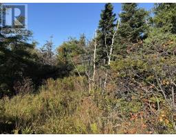 1812-1818 Conception Bay Highway Highway thumbnail 8