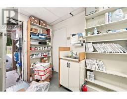 1568 Queen Street E, Toronto, ON M4L1E9 Photo 15