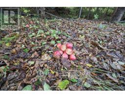 26 Shoal Bay Road thumbnail 43