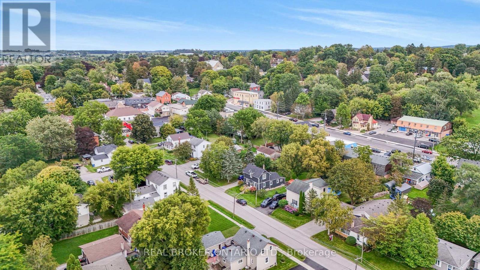17 Mill Street, East Gwillimbury, ON photo 41