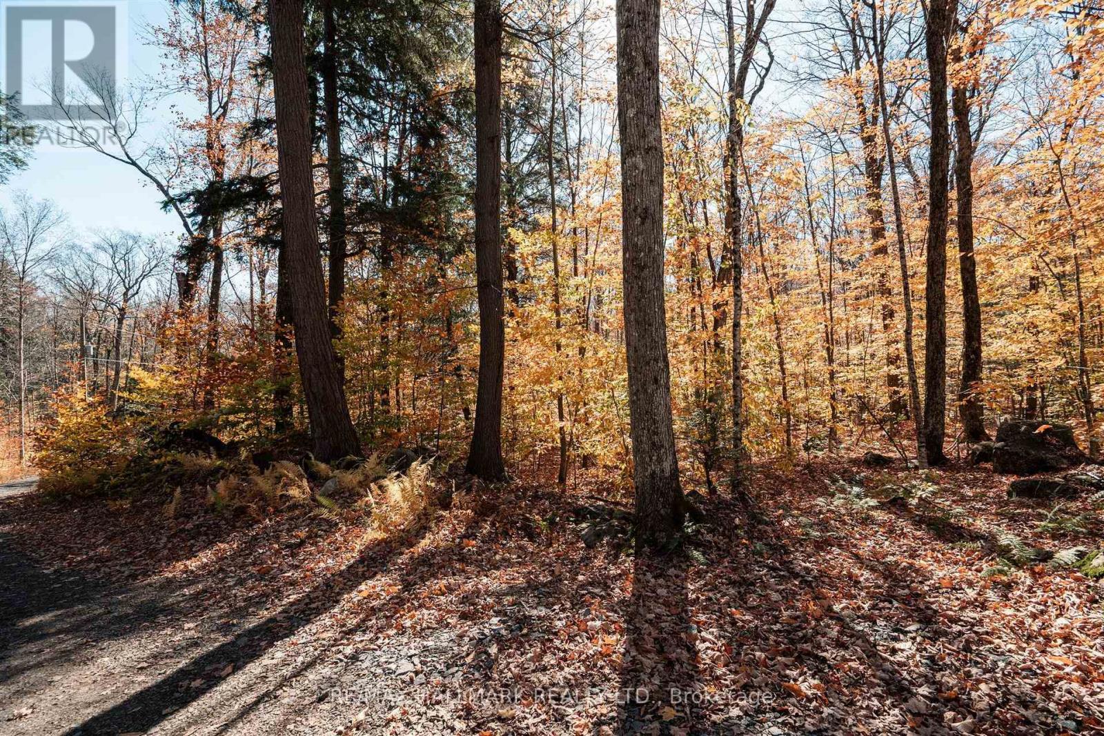 1310 Camel Lake Road, Muskoka Lakes, ON photo 11