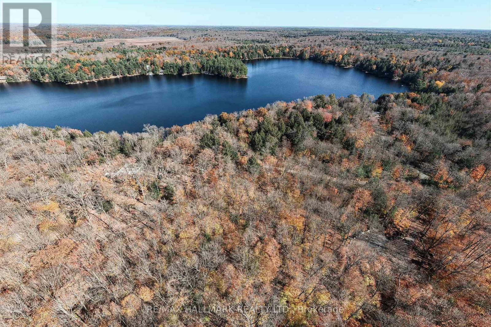 1310 Camel Lake Road, Muskoka Lakes, ON photo 12