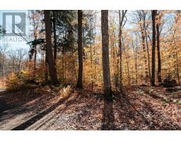 Unit 11 Lot 5 - 1310 Camel Lake Road, Muskoka Lakes, ON P1L1X4 Photo 11