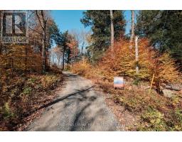 Unit 11 Lot 5 - 1310 Camel Lake Road, Muskoka Lakes, ON P1L1X4 Photo 7