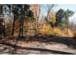 Unit 11 Lot 5 - 1310 Camel Lake Road, Muskoka Lakes, ON P1L1X4 Photo 9