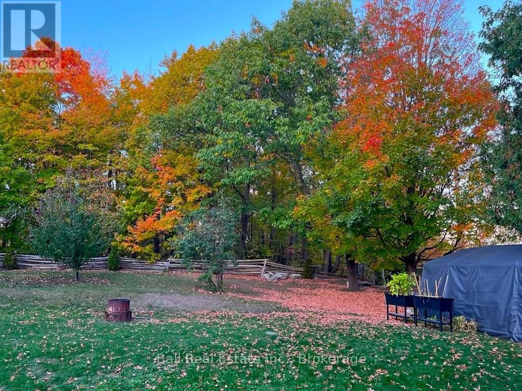 4 Avoline Boulevard North, Kawartha Lakes, ON photo 21
