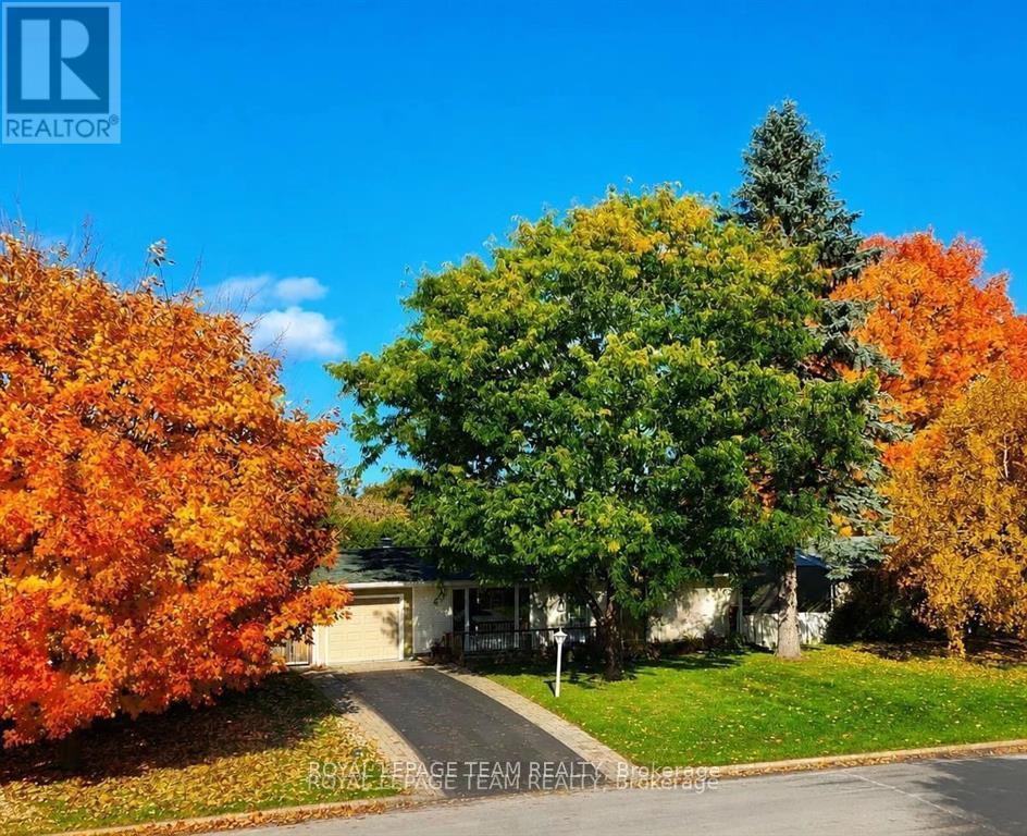 Beautiful fall colours!