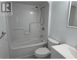 195 Donald Street, Sudbury, ON P3B3T5 Photo 16