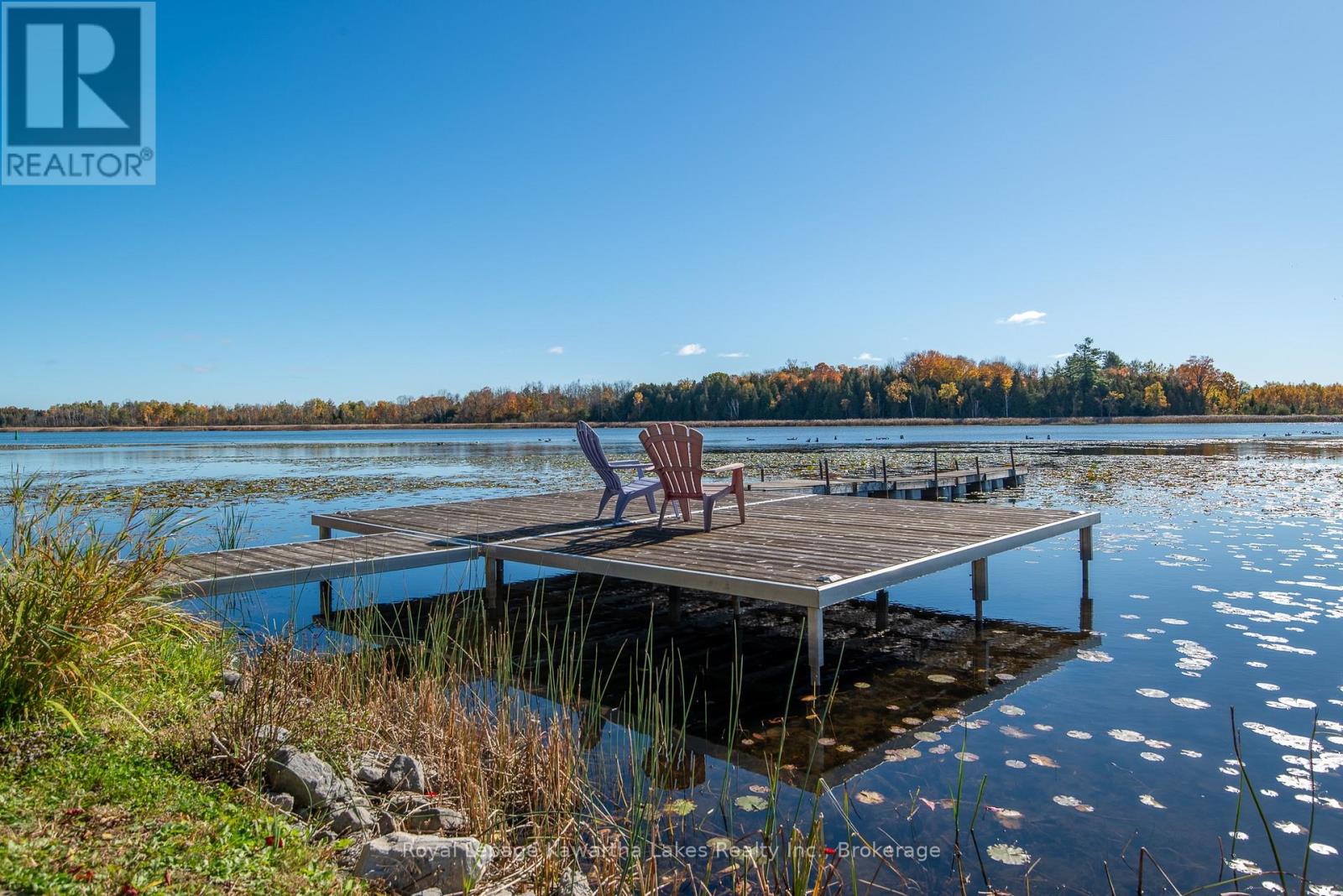 222 O'Reilly Lane, Kawartha Lakes, ON photo 40