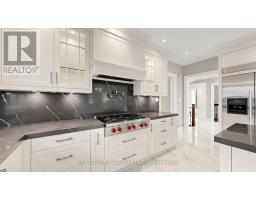 50 Lytton Boulevard, Richmond Hill, ON L4B3H3 Photo 21