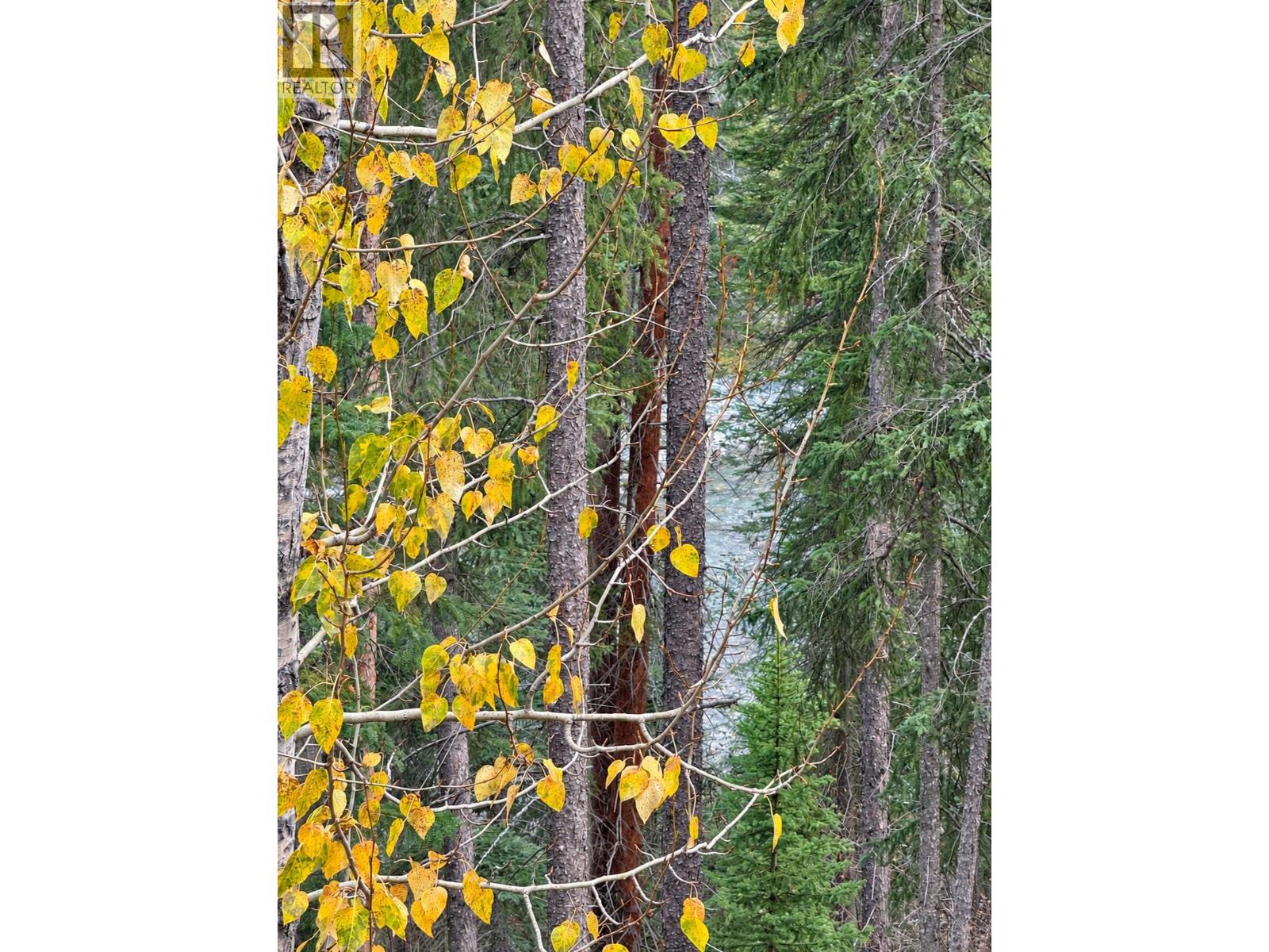 #203 2116 Panorama Drive - 32