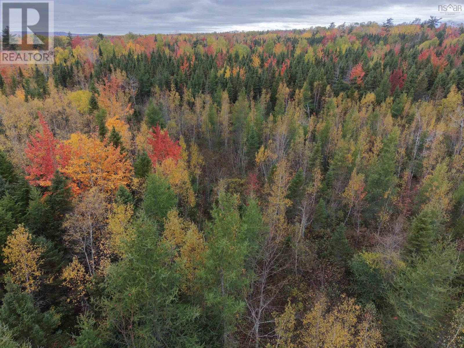 100 Acres Mitchell Swan Road photo 5