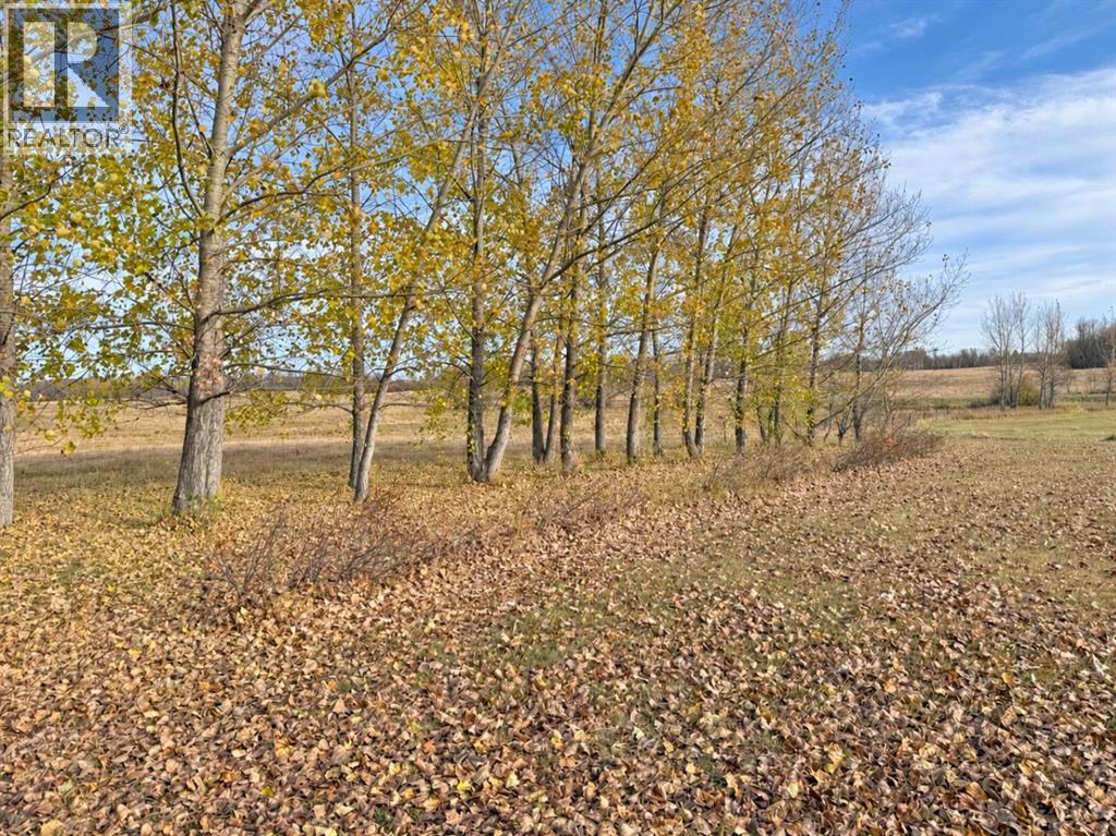 445016 Rg Rd 15, Rural Wainwright No. 61, M.D. of — photo 31