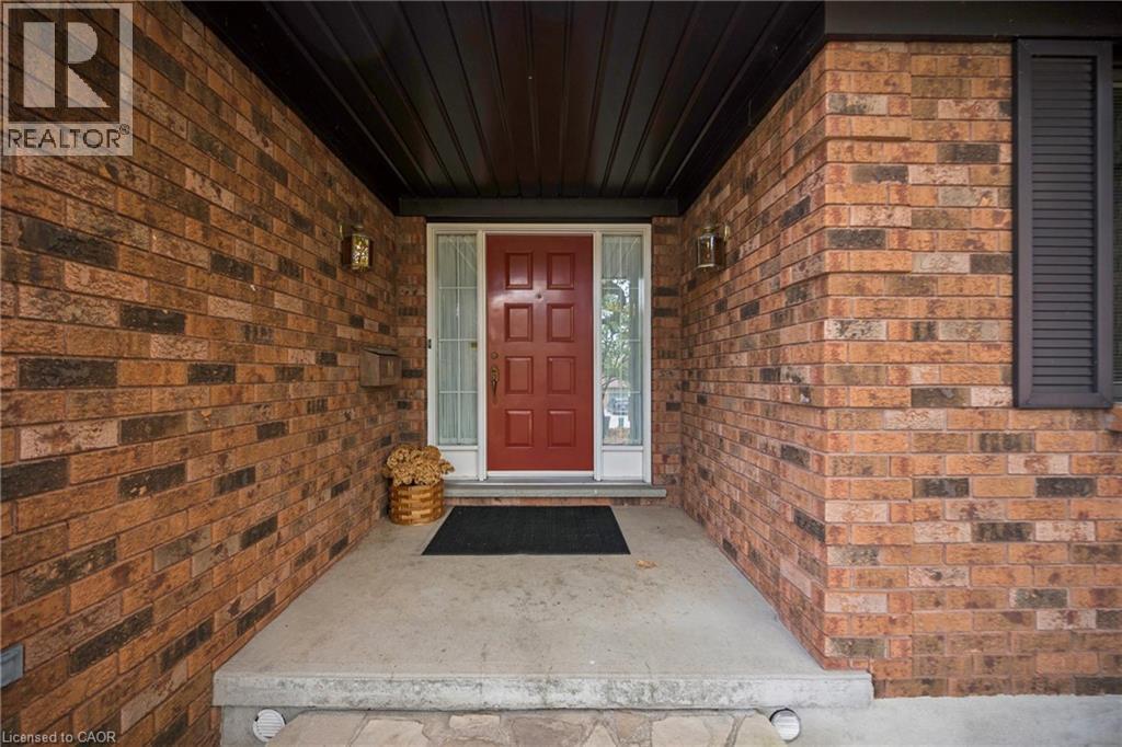 Photo 7 of 47