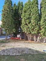 302 Woodlawn Street, Winnipeg, MB R3J2H9 Photo 33