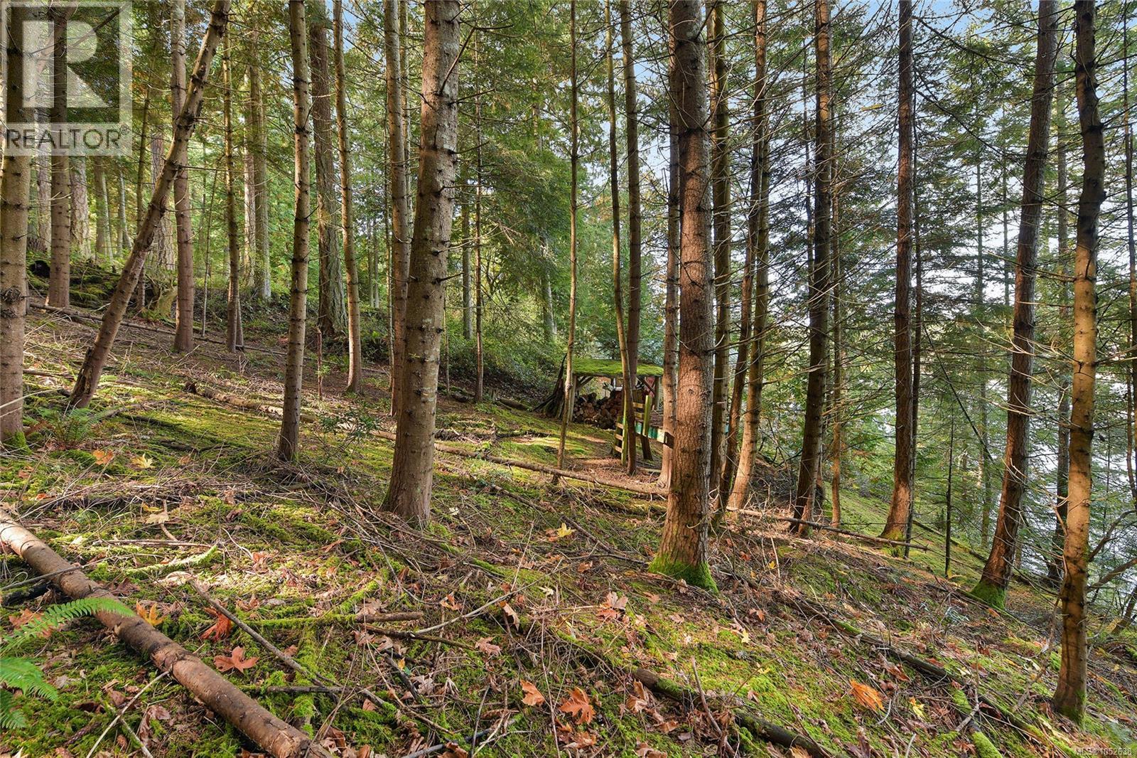 706 Horton Bay Rd - 22