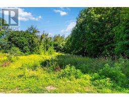 252 Main Street, Berwick, NS B0P1E0 Photo 46