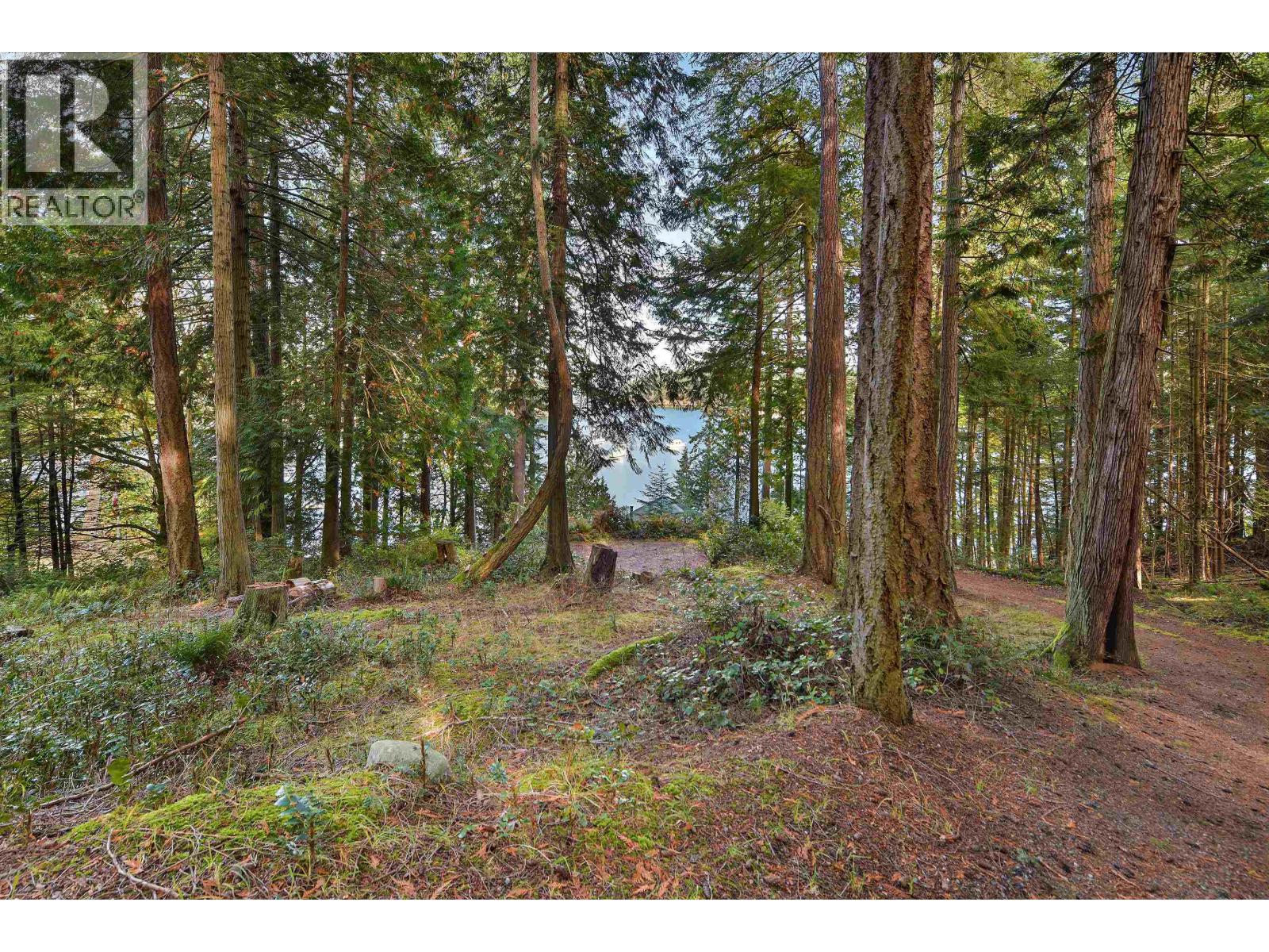 706 HORTON BAY ROAD, Mayne Island - Image 1