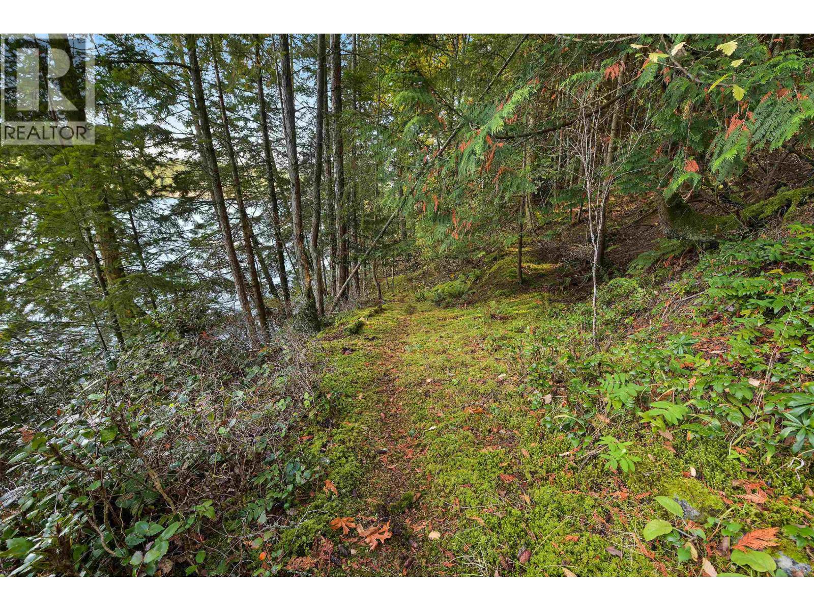 706 HORTON BAY ROAD, Mayne Island - Image 1