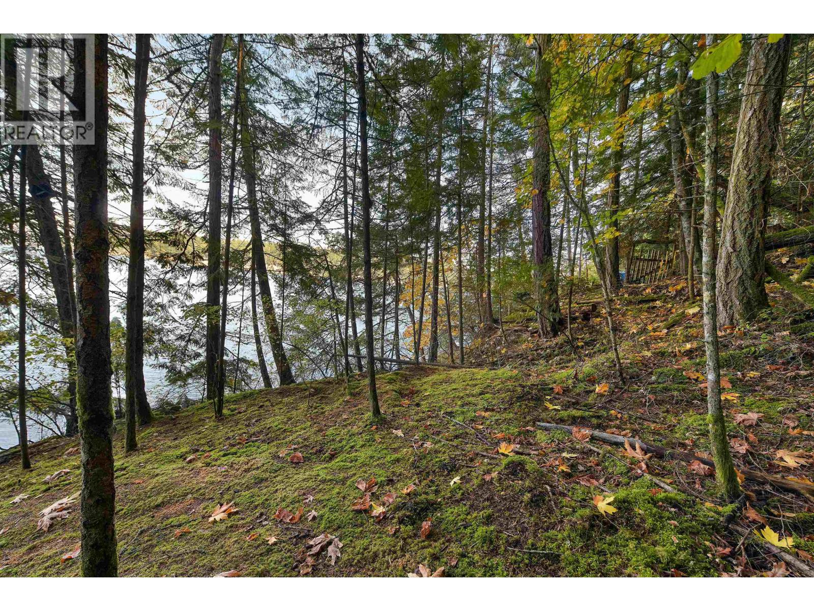 706 HORTON BAY ROAD, Mayne Island - Image 1