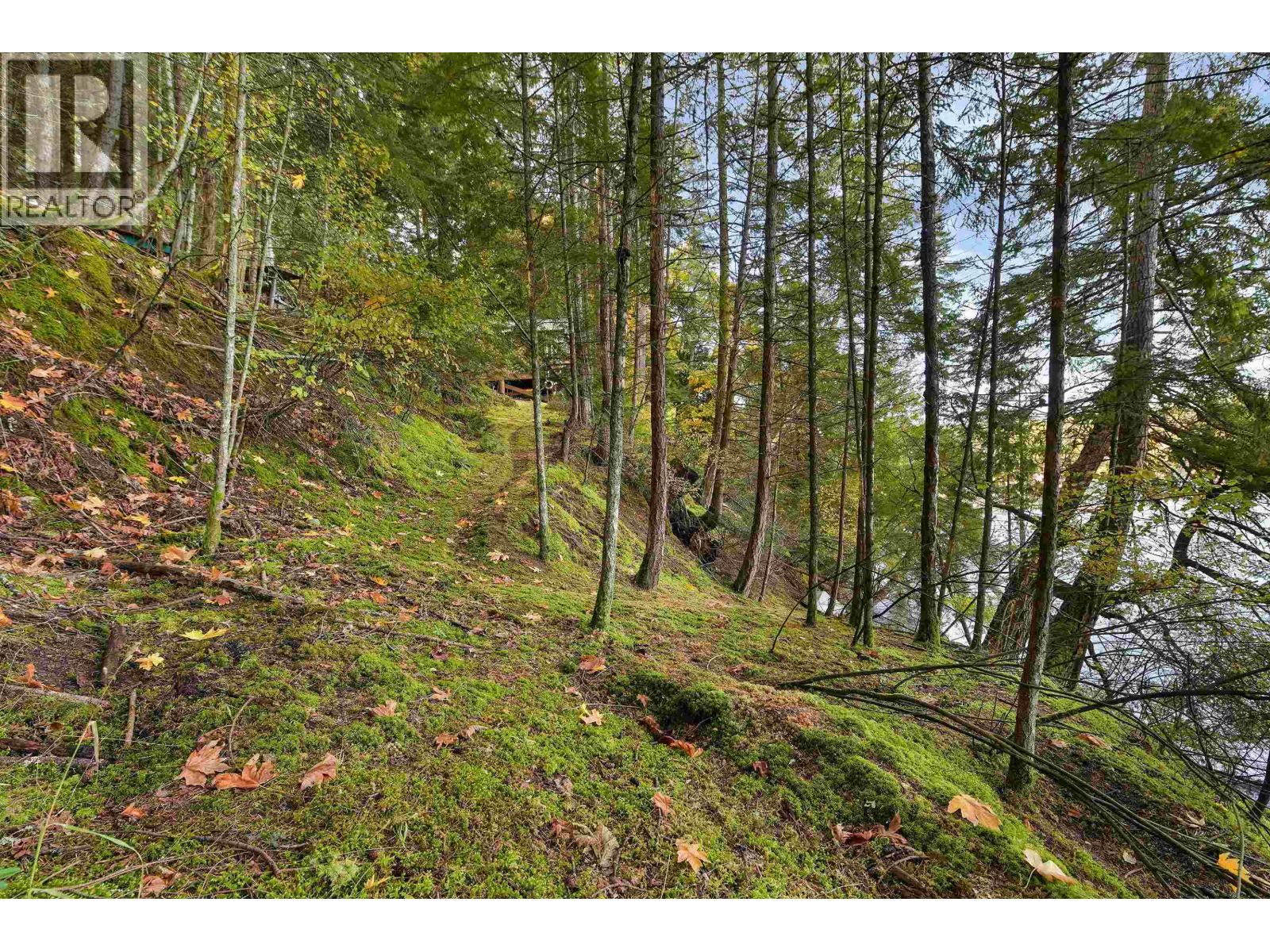 706 HORTON BAY ROAD, Mayne Island - Image 1
