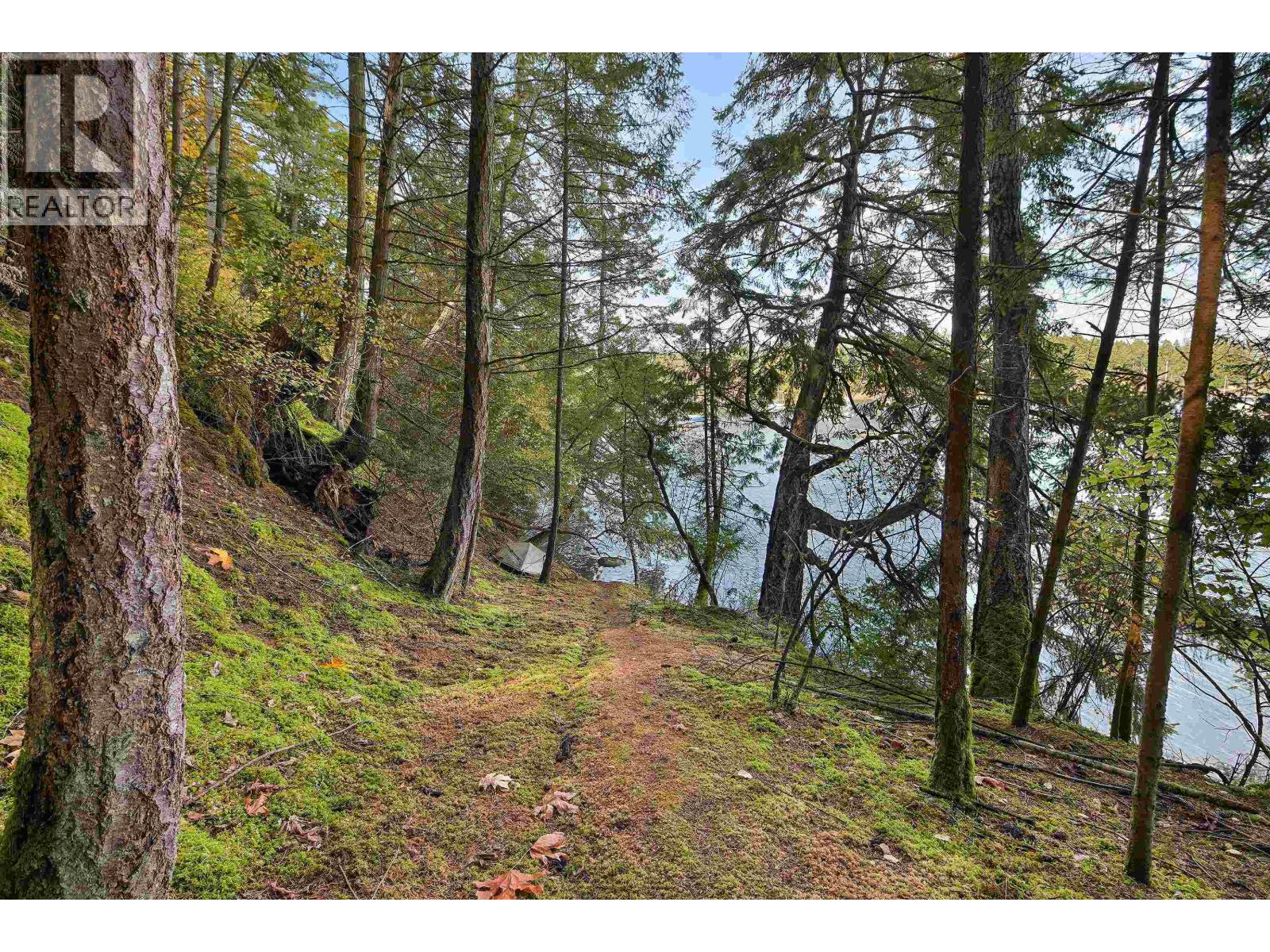 706 HORTON BAY ROAD, Mayne Island - Image 1