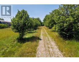 5019 Jewel Road, Clarington, ON L0B1M0 Photo 47
