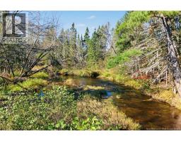 251 Cumberland Bay South RD, photo 10