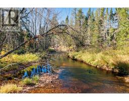251 Cumberland Bay South RD, photo 11