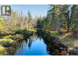 251 Cumberland Bay South RD, photo 13