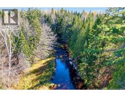 251 Cumberland Bay South RD, photo 19