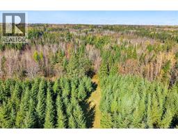 251 Cumberland Bay South RD, photo 21