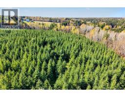 251 Cumberland Bay South RD, photo 22
