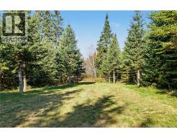 251 Cumberland Bay South RD, photo 8