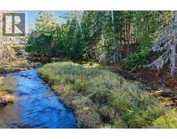251 Cumberland Bay South RD, photo 9