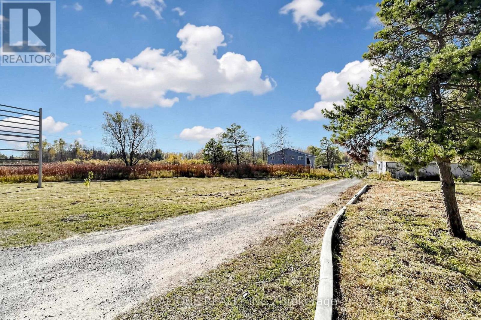 23256 Highway No. 48 Road, Georgina, ON photo 7
