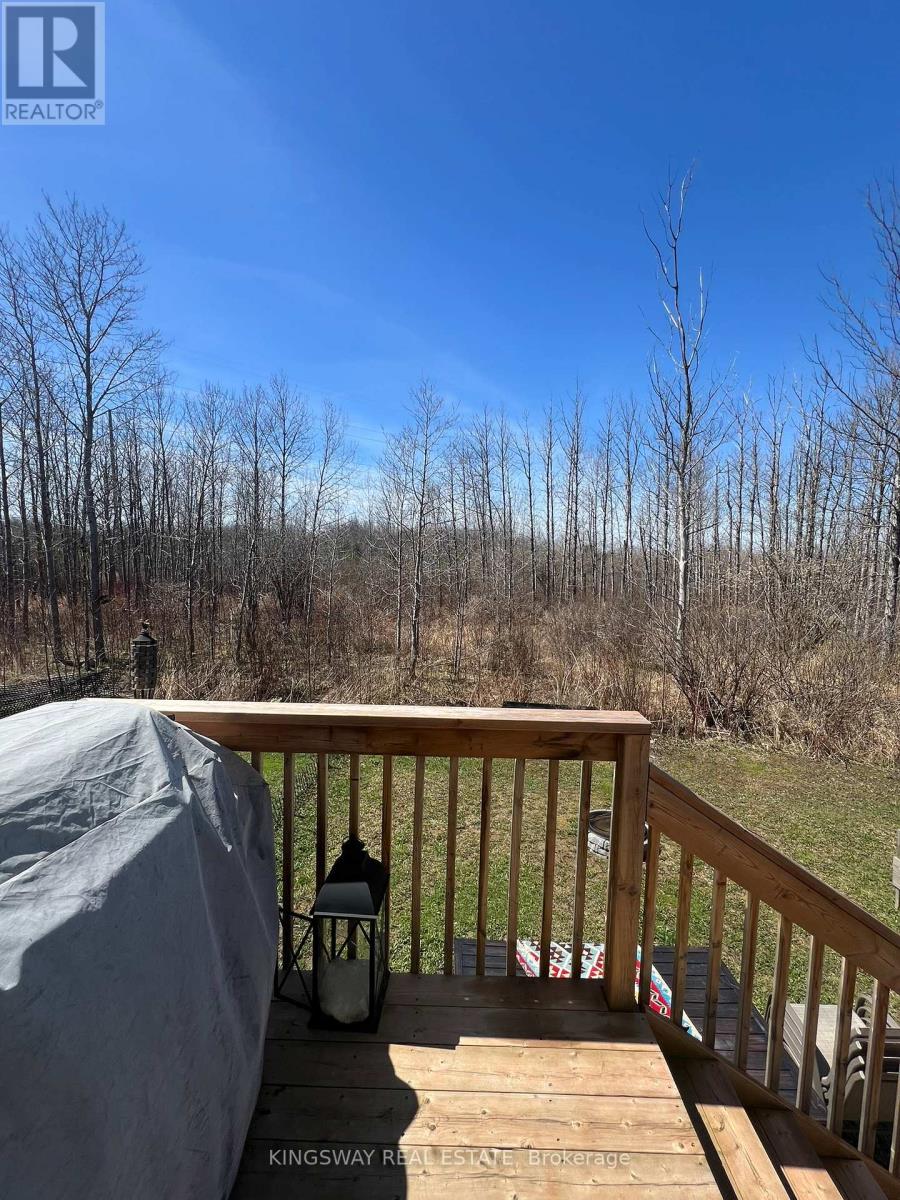 255 Atkinson Street, Clearview photo 30