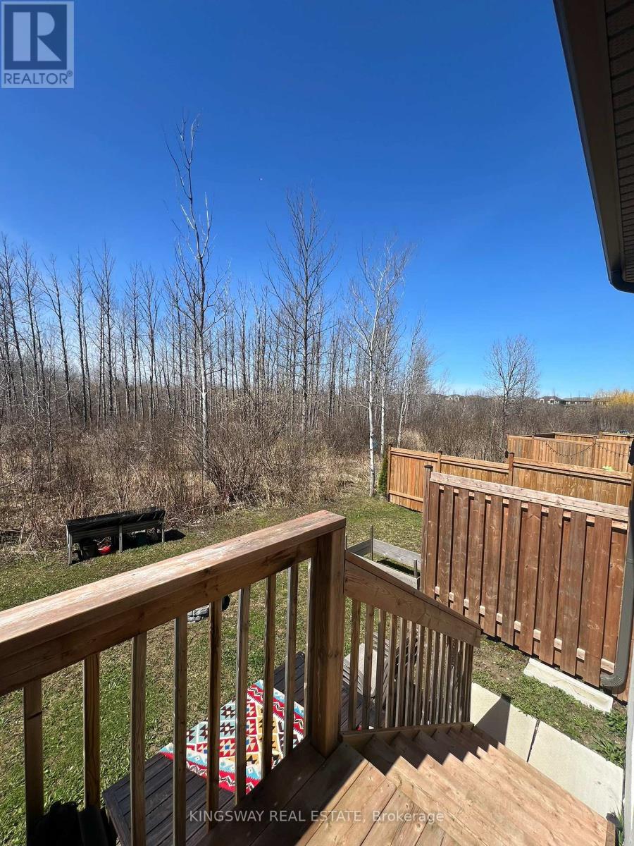 255 Atkinson Street, Clearview photo 31