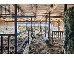 540 Townline Road, North Grenville, ON K0G1J0 Photo 21